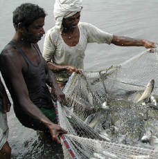 Shipping Agriculture Cargo in Mexico